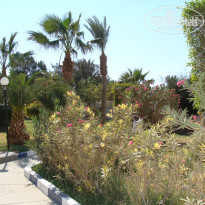 фото из отзыва ID 439570