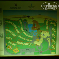 фото из отзыва ID 439593