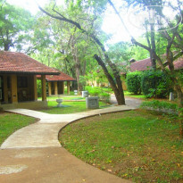 фото из отзыва ID 439752