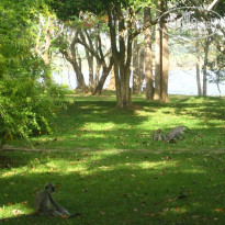 фото из отзыва ID 439752