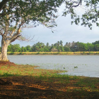 фото из отзыва ID 439752