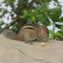 фото из отзыва ID 440029