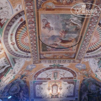 фото из отзыва ID 440281