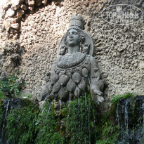 фото из отзыва ID 440281