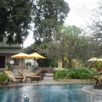 фото из отзыва ID 440561