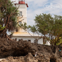 фото из отзыва ID 440567