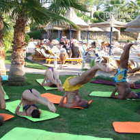 фото из отзыва ID 440607