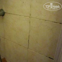 фото из отзыва ID 440696