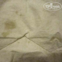 фото из отзыва ID 440696