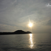 фото из отзыва ID 440920