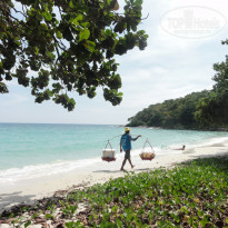 фото из отзыва ID 440920