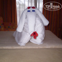 фото из отзыва ID 440937