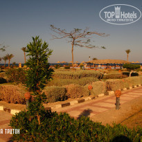 фото из отзыва ID 440410