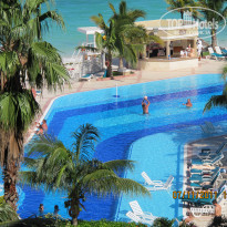 фото из отзыва ID 441082