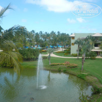 фото из отзыва ID 441144