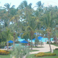 фото из отзыва ID 441144