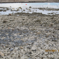 фото из отзыва ID 441244