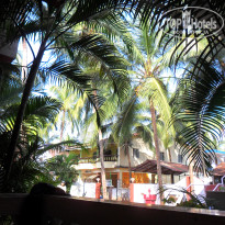 фото из отзыва ID 441249