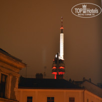 фото из отзыва ID 441274