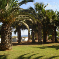 фото из отзыва ID 441309