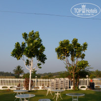 фото из отзыва ID 441335