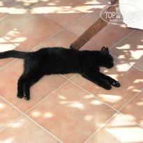 фото из отзыва ID 441481