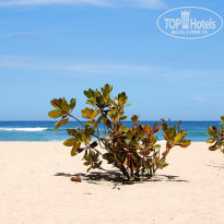 фото из отзыва ID 441723