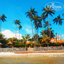 фото из отзыва ID 441841