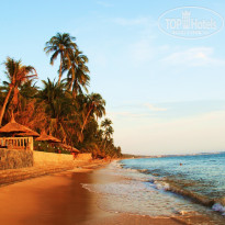 фото из отзыва ID 441841