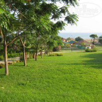 фото из отзыва ID 44254