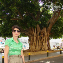 фото из отзыва ID 442203