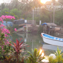 фото из отзыва ID 442009