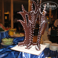 фото из отзыва ID 442261