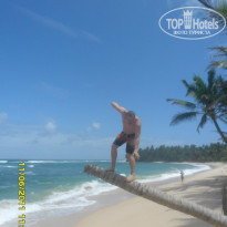 фото из отзыва ID 442300