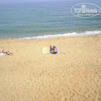 фото из отзыва ID 442310