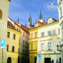 фото из отзыва ID 442327