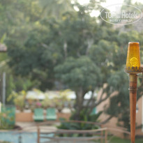 фото из отзыва ID 442488