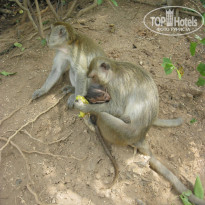 фото из отзыва ID 442505