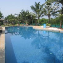 фото из отзыва ID 442507