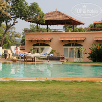 фото из отзыва ID 442488