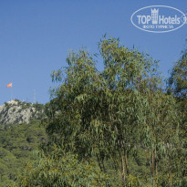 фото из отзыва ID 442879