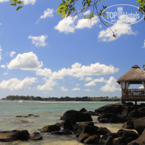 фото из отзыва ID 443084