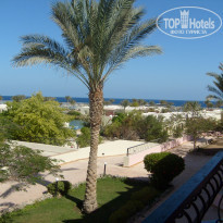 фото из отзыва ID 443225