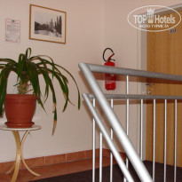 фото из отзыва ID 443253