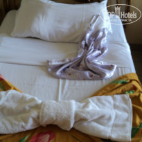 фото из отзыва ID 443327