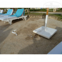 фото из отзыва ID 443333