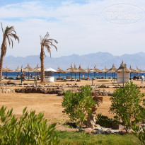 фото из отзыва ID 443386