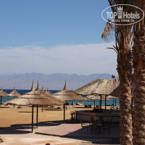 фото из отзыва ID 443386