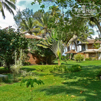 фото из отзыва ID 443501