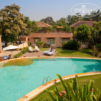 фото из отзыва ID 443605